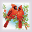 Borduurpakket Red Cardinals - RIOLIS