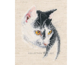 Cross stitch kit Fascinating - RTO